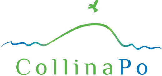 Collina-Po-520x245